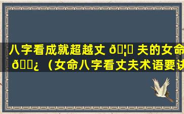 八字看成就超越丈 🦅 夫的女命 🌿 （女命八字看丈夫术语要诀三）